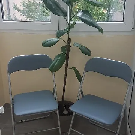 Apartamento Bulevar Ns - Stan U Blizini Zeleznike Stanice I Sajma Novi Sad