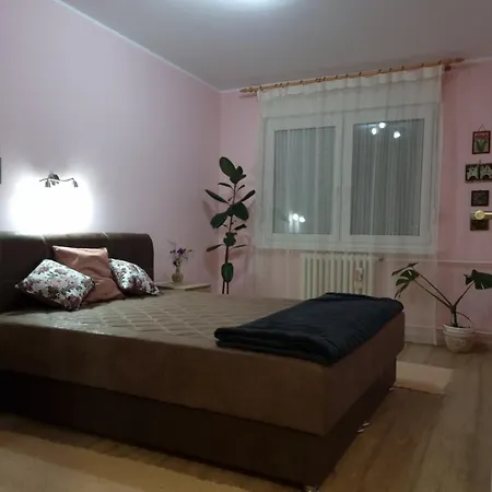 Bulevar Ns - Stan U Blizini Zeleznike Stanice I Sajma Novi Sad