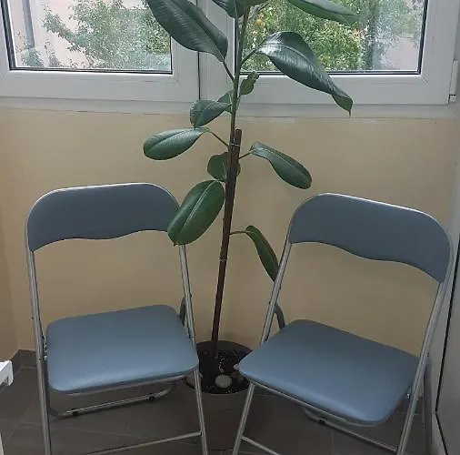 公寓 Bulevar Ns - Stan U Blizini Zeleznike Stanice I Sajma 诺威萨