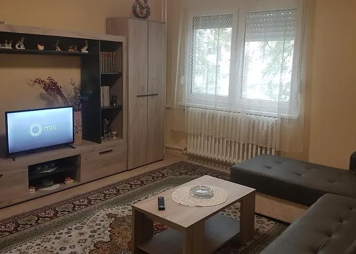 Bulevar Ns - Stan U Blizini Zeleznike Stanice I Sajma *