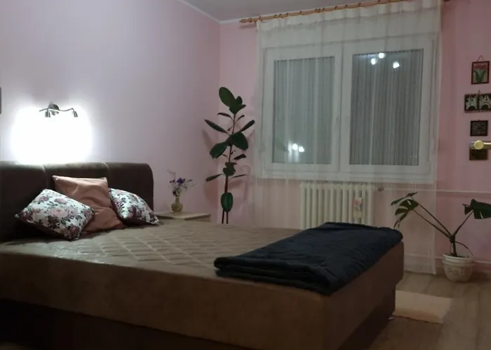 Bulevar Ns - Stan U Blizini Zeleznike Stanice I Sajma 诺威萨