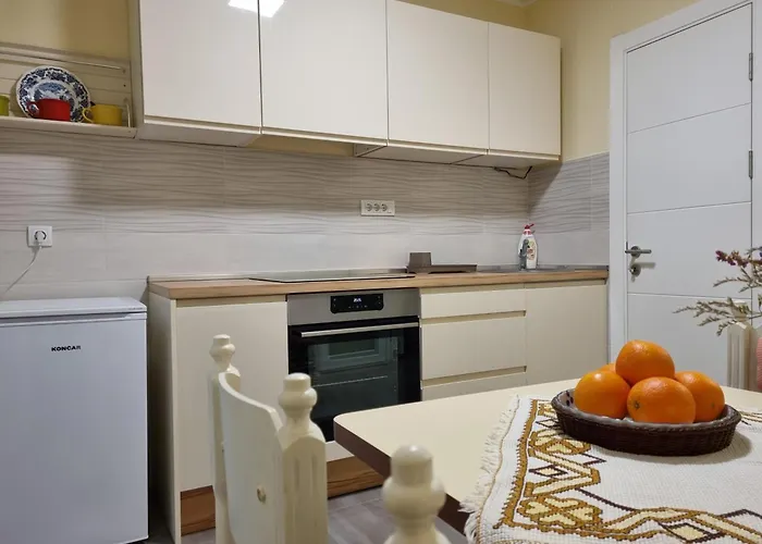 Bulevar Ns - Stan U Blizini Zeleznike Stanice I Sajma *